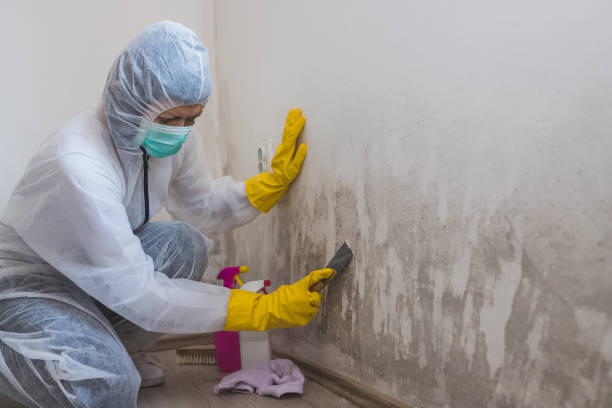 Best Residential Mold Inspection & Testing  in Fairplay, GA